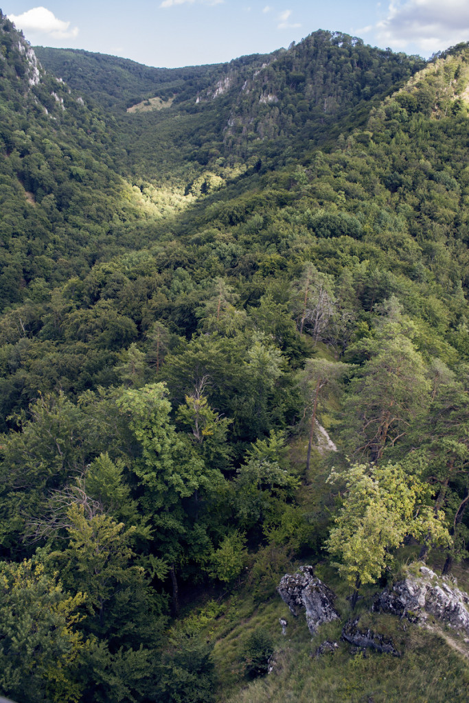 V&yacute;hľad z druhej strany zr&uacute;caniny Uhrovec